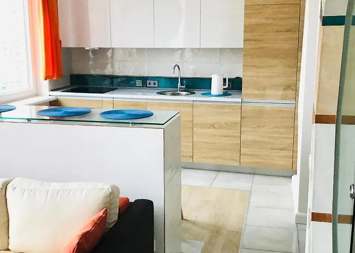 ракушка , аркадия , 26 жемчужина Odessza